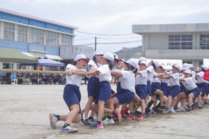 Imgp8982
