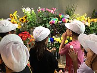 Photo_2 Photo_2